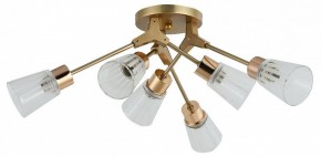 Потолочная люстра Escada Felicia 1137/6P в Полевском - polevskoy.mebel24.online | фото