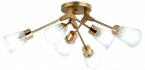Потолочная люстра Escada Felicia 1137/6P в Полевском - polevskoy.mebel24.online | фото 2