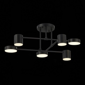 Потолочная люстра EVOLUCE Nobel SLE201042-06 в Полевском - polevskoy.mebel24.online | фото 13