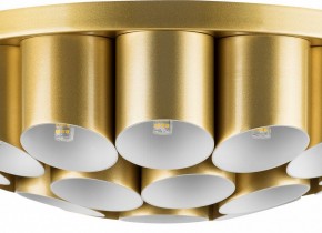 Потолочная люстра Lightstar Siena 720222 в Полевском - polevskoy.mebel24.online | фото 3