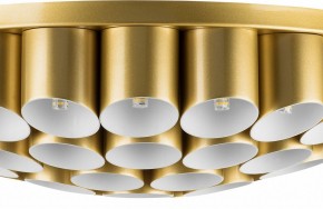 Потолочная люстра Lightstar Siena 720402 в Полевском - polevskoy.mebel24.online | фото 3