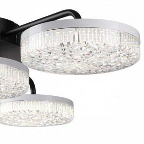 Потолочная люстра Lumion Didana 8236/4CL в Полевском - polevskoy.mebel24.online | фото 7