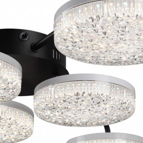 Потолочная люстра Lumion Didana 8236/6CL в Полевском - polevskoy.mebel24.online | фото 9