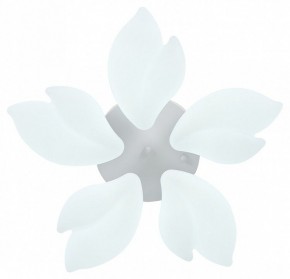 Потолочная люстра Natali Kovaltseva Effect LED LAMPS 81116 в Полевском - polevskoy.mebel24.online | фото 3