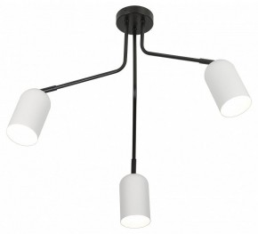 Потолочная люстра Rivoli Rosalinda Б0064987 в Полевском - polevskoy.mebel24.online | фото 4