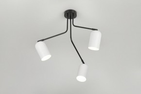 Потолочная люстра Rivoli Rosalinda Б0064987 в Полевском - polevskoy.mebel24.online | фото 8