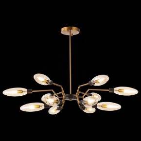 Потолочная люстра ST-Luce Desima SL1174.303.12 в Полевском - polevskoy.mebel24.online | фото 2