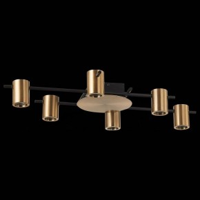 Потолочная люстра ST-Luce Veroli SL1207.402.06 в Полевском - polevskoy.mebel24.online | фото 2