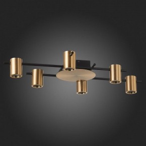 Потолочная люстра ST-Luce Veroli SL1207.402.06 в Полевском - polevskoy.mebel24.online | фото 4
