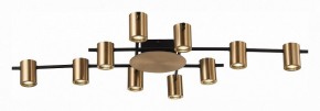 Потолочная люстра ST-Luce Veroli SL1207.402.10 в Полевском - polevskoy.mebel24.online | фото 2