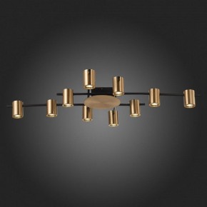 Потолочная люстра ST-Luce Veroli SL1207.402.10 в Полевском - polevskoy.mebel24.online | фото 6