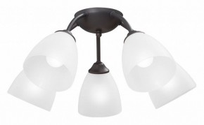 Потолочная люстра Vitaluce V3184 V3737-2/5PL в Полевском - polevskoy.mebel24.online | фото
