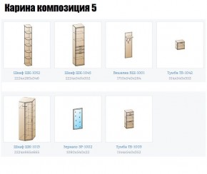 Прихожая Карина (модульная) в Полевском - polevskoy.mebel24.online | фото 2