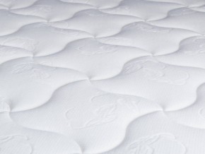 PROxSON Матрас Active Duo S/F (Ткань Трикотаж Эко) 120x190 в Полевском - polevskoy.mebel24.online | фото 10