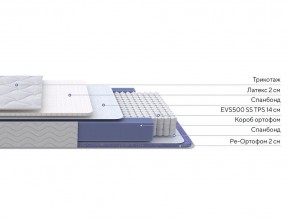 PROxSON Матрас Active Duo S/F (Ткань Трикотаж Эко) 120x200 в Полевском - polevskoy.mebel24.online | фото 2