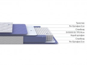 PROxSON Матрас Active F (Ткань Трикотаж Эко) 180x200 в Полевском - polevskoy.mebel24.online | фото 2