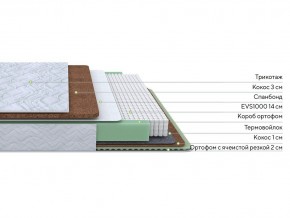 PROxSON Матрас Green Duo M/F (Tricotage Dream) 200x195 в Полевском - polevskoy.mebel24.online | фото 2