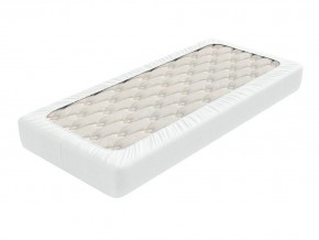 PROxSON Защитный чехол Aqua Save Light S (Ткань влагостойкая Tencel Jersey) 120x190 в Полевском - polevskoy.mebel24.online | фото 1