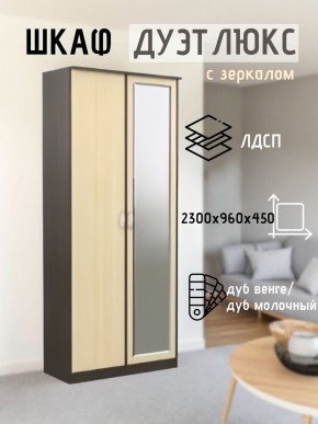 Шкаф 2-х створчатый Дуэт Люкс с зеркалом в Полевском - polevskoy.mebel24.online | фото