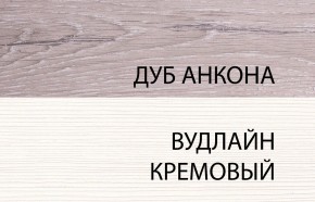 Шкаф 2DG, OLIVIA, цвет вудлайн крем/дуб анкона в Полевском - polevskoy.mebel24.online | фото 3