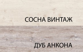 Шкаф 2DG2S, MONAKO, цвет Сосна винтаж/дуб анкона в Полевском - polevskoy.mebel24.online | фото 1