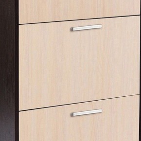 Шкаф для обуви УК-4 в Полевском - polevskoy.mebel24.online | фото 2