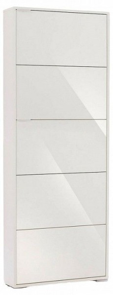 Шкаф для обуви Viva-5S в Полевском - polevskoy.mebel24.online | фото