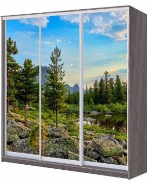 Шкаф-купе ХИТ 22-20/2-777 ПРИРОДА в Полевском - polevskoy.mebel24.online | фото