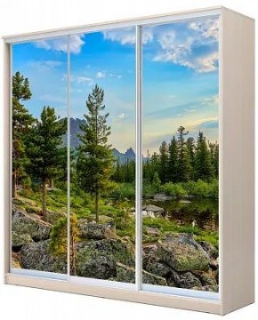 Шкаф-купе ХИТ 22-20-777 ПРИРОДА в Полевском - polevskoy.mebel24.online | фото