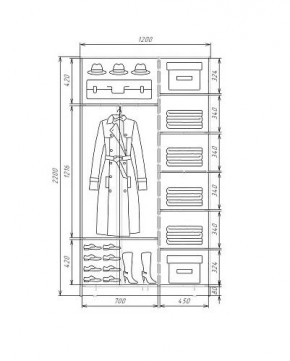 Шкаф-купе ХИТ 22-4-12-55 (420) в Полевском - polevskoy.mebel24.online | фото 5