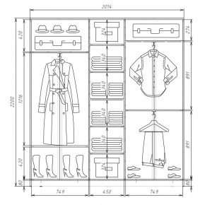 Шкаф-купе ХИТ 22-4-20-555 (420) в Полевском - polevskoy.mebel24.online | фото 2