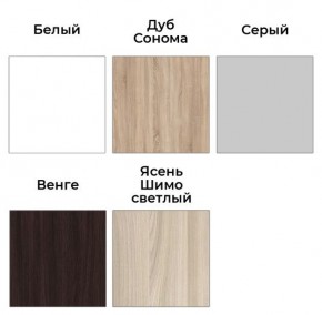 Шкаф-купе ХИТ 23-24/2-7777 (620) в Полевском - polevskoy.mebel24.online | фото 2