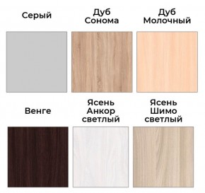 Шкаф-купе ХИТ 23-4-18-656 (420) в Полевском - polevskoy.mebel24.online | фото 3