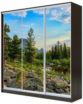 Шкаф-купе ХИТ 23-4-20-777 ПРИРОДА в Полевском - polevskoy.mebel24.online | фото