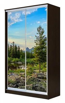 Шкаф-купе ХИТ 24-15-77 ПРИРОДА в Полевском - polevskoy.mebel24.online | фото