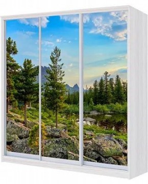 Шкаф-купе ХИТ 24-18/2-777 ПРИРОДА в Полевском - polevskoy.mebel24.online | фото
