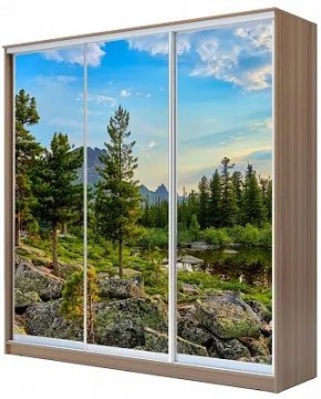 Шкаф-купе ХИТ 24-20/2-777 ПРИРОДА в Полевском - polevskoy.mebel24.online | фото
