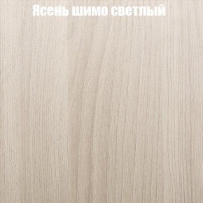 Шкаф-купе «ТАНДЕМ» 3-х дверный в алюминиевом профиле (Дверь К+К+К) 2400/h2200 в Полевском - polevskoy.mebel24.online | фото 6