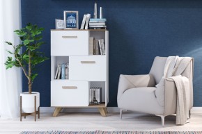 Шкаф низкий с нишами Вега Скандинавия в Полевском - polevskoy.mebel24.online | фото 4