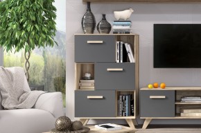 Шкаф низкий с нишами Вега Скандинавия в Полевском - polevskoy.mebel24.online | фото 6