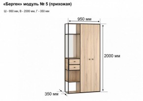 Шкаф платяной Берген-5 в Полевском - polevskoy.mebel24.online | фото 7