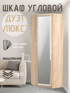 Шкаф угловой Дуэт Люкс с зеркалом в Полевском - polevskoy.mebel24.online | фото
