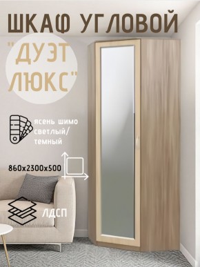 Шкаф угловой Дуэт Люкс с зеркалом в Полевском - polevskoy.mebel24.online | фото 3