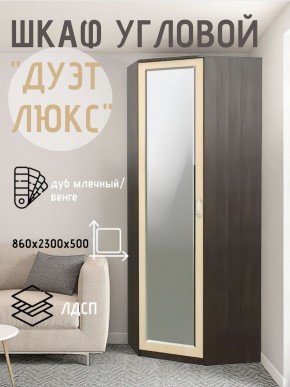 Шкаф угловой Дуэт Люкс с зеркалом в Полевском - polevskoy.mebel24.online | фото 5