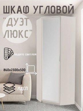 Шкаф угловой Дуэт Люкс с зеркалом в Полевском - polevskoy.mebel24.online | фото 6