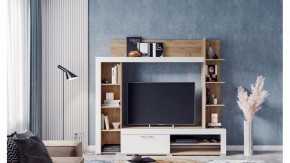 Стенка для гостиной Касэль в Полевском - polevskoy.mebel24.online | фото 3