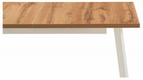 Стол обеденный Колон Лофт в Полевском - polevskoy.mebel24.online | фото 6