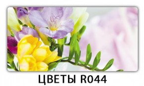Стол раздвижной Бриз лайм R156 Доска D113 в Полевском - polevskoy.mebel24.online | фото 16