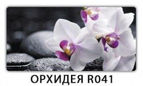 Стол раздвижной Бриз лайм R156 Доска D113 в Полевском - polevskoy.mebel24.online | фото 18