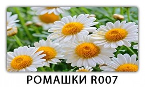 Стол раздвижной Трилогия с фотопечатью Лайм R156 в Полевском - polevskoy.mebel24.online | фото 15